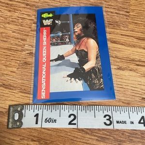 1991 WWF collectors card